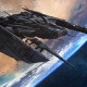 1.80精品战神