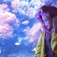 dnf附魔卡查询器